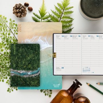 rse-environement-rse-quo-vadis-france